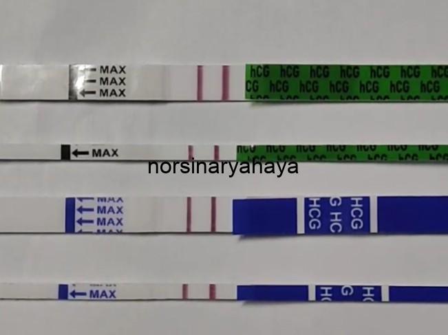Size kecil 2.5mm & besar 6.0mm